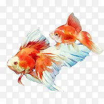 ����ĸ��ˮ�ʻ��ز�ͼƬ-������