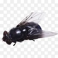 ��ɫ����֪��-������