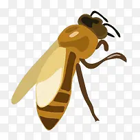 爬行昆虫-空若网 爬行昆虫-空若网