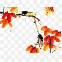 ��֦�ϵ�֪��-������