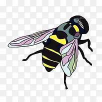 彩色翅膀夏蝉-空若网 彩色翅膀夏蝉-空若网