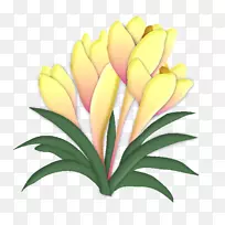 切花画化学元素.番红花-空若网 切花画化学元素.番红花-空若网