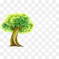 彩绘绿色大树-空若网 彩绘绿色大树-空若网