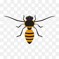 迷你小蜜蜂矢量标本-空若网 迷你小蜜蜂矢量标本-空若网