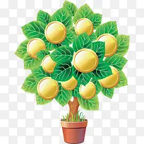 ���ڲƸ������-������