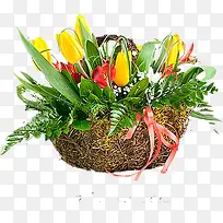 �����㻨��-������