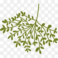 绿色树枝-空若网 绿色树枝-空若网