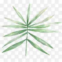 手绘水彩树枝树叶-空若网 手绘水彩树枝树叶-空若网