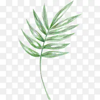 手绘水彩树枝树叶-空若网 手绘水彩树枝树叶-空若网