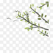 手绘水彩清新淡雅插图树枝树叶插-空若网 手绘水彩清新淡雅插图树枝树叶插-空若网