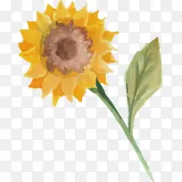 手绘向日葵设计-空若网 手绘向日葵设计-空若网