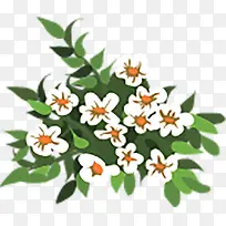 白色花-空若网 白色花-空若网