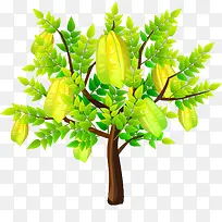 ÑîÌÒÊ÷-¿ÕÈôÍø ÑîÌÒÊ÷-¿ÕÈôÍø