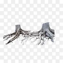 ���ɿ�ľ��ľ-������