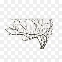 ���ɿ�ľ��ľ-������