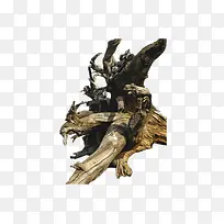 树干枯木朽木-空若网 树干枯木朽木-空若网