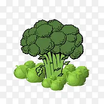 蔬菜-空若网 蔬菜-空若网