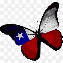 美国蝴蝶-空若网 美国蝴蝶-空若网