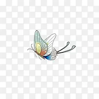 彩色蝴蝶-空若网 彩色蝴蝶-空若网