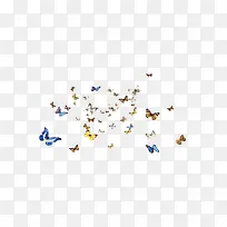 ºûµûÀ¥³æ·É¶ê-¿ÕÈôÍø ºûµûÀ¥³æ·É¶ê-¿ÕÈôÍø