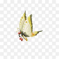 蝴蝶昆虫飞蛾-空若网 蝴蝶昆虫飞蛾-空若网