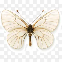 ����ʸ��-������