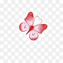 蝴蝶飞蛾昆虫-空若网 蝴蝶飞蛾昆虫-空若网