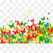 炫彩蝴蝶-空若网 炫彩蝴蝶-空若网