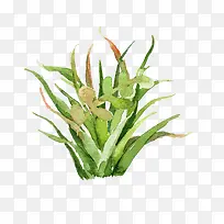 ˮ���ֻ�-������