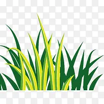 手绘绿色草丛小草-空若网 手绘绿色草丛小草-空若网