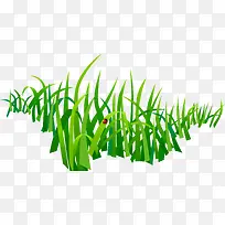 �ֻ���ɫ�ݴ�С��-������