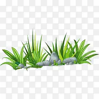 С������ɫС��-������