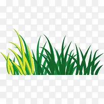 手绘绿色草丛小草-空若网 手绘绿色草丛小草-空若网