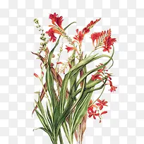 С��-������