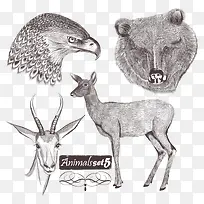 ��ӥ������¹-������