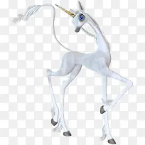 ��ɫ������-������