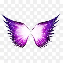 ��ɫ���-������