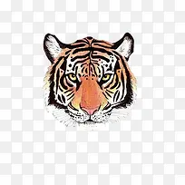 �ֻ��ϻ�-������