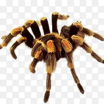 ëÈ×È×µÄÖ©Öë-¿ÕÈôÍø ëÈ×È×µÄÖ©Öë-¿ÕÈôÍø