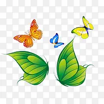 ¸÷ÖÖºûµû-¿ÕÈôÍø ¸÷ÖÖºûµû-¿ÕÈôÍø