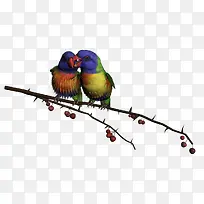 ����-������