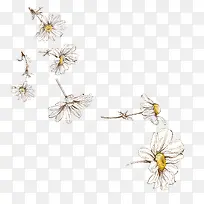 小菊花手绘-空若网 小菊花手绘-空若网