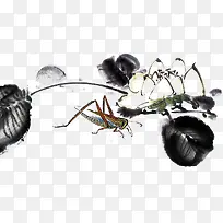 Ë®²ÊÊÖ»æÖ²ÎïÀ¥³æÃâ·ÑÏÂÔØ-¿ÕÈôÍø Ë®²ÊÊÖ»æÖ²ÎïÀ¥³æÃâ·ÑÏÂÔØ-¿ÕÈôÍø