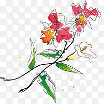 红色白色百合png矢量素材-空若网 红色白色百合png矢量素材-空若网