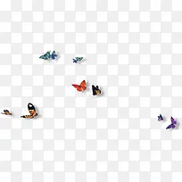 蝴蝶-空若网 蝴蝶-空若网