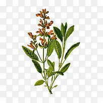 ����������-������