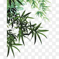 ����-������