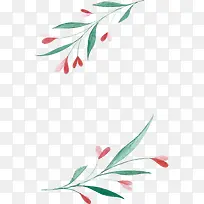 ˮ�ʰ�����֦�߿�-������