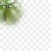 �����֦-������