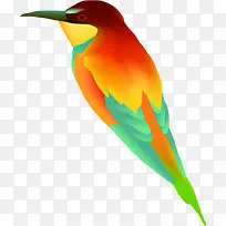 ��ɫʱ��С������-������